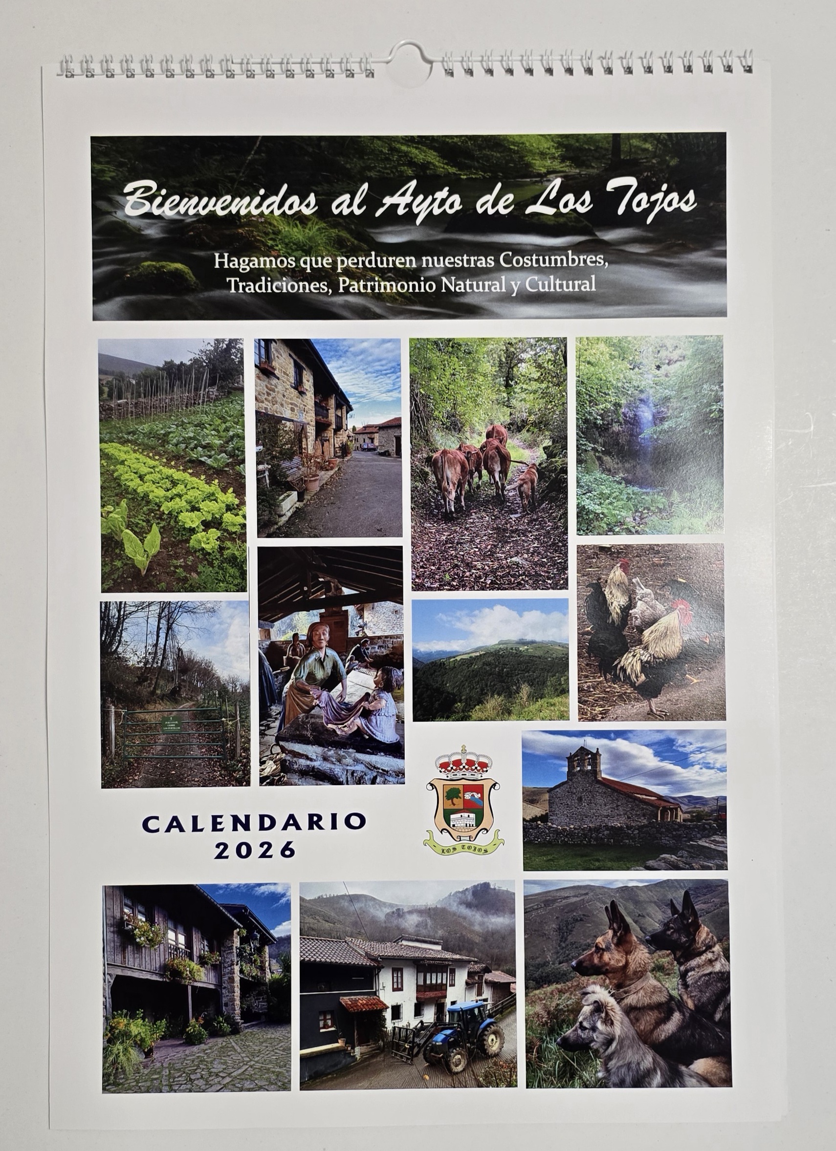 Calendario 12 + 1 Láminas con Wire-O